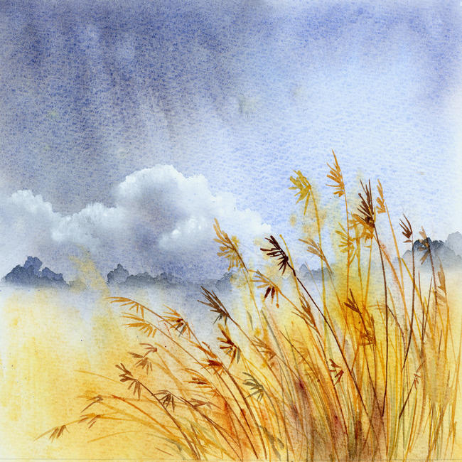 Norfolk Reeds