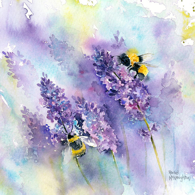 Bees and Lavender