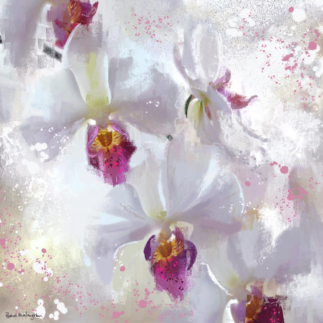 White Orchids