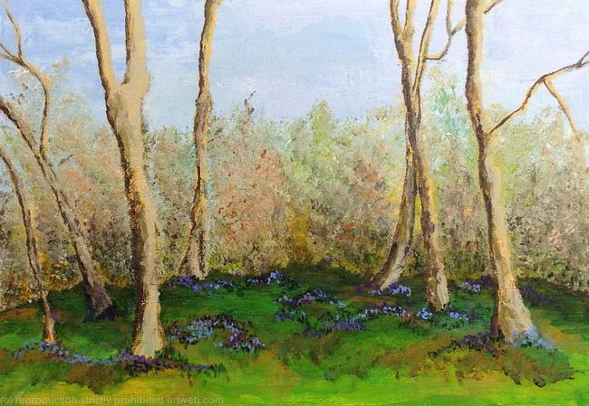 Bluebells