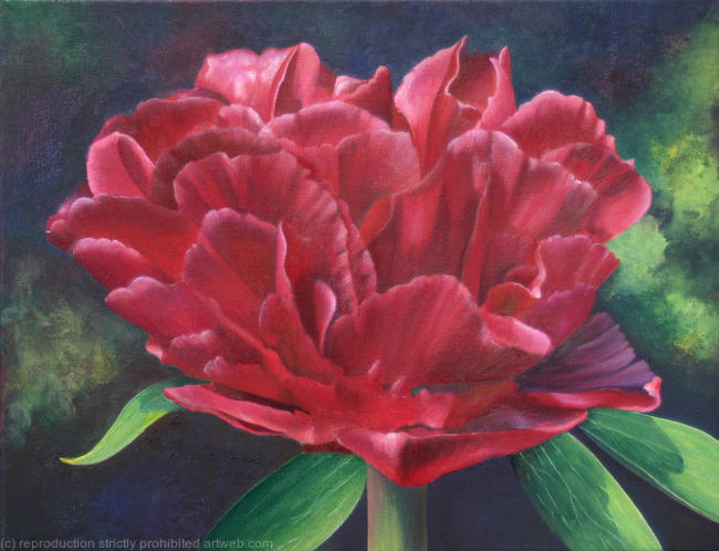 Red Peaony II