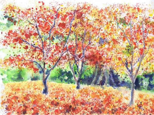 Autumn Trees