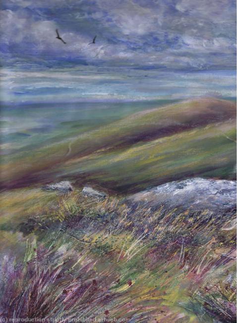 Buzzards over Dartmoor