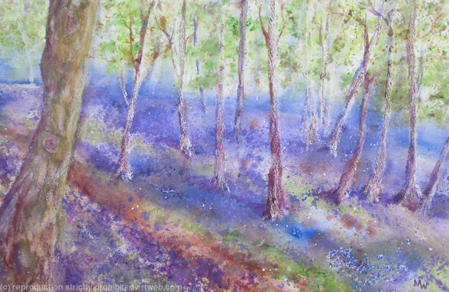 Bluebell Woods II