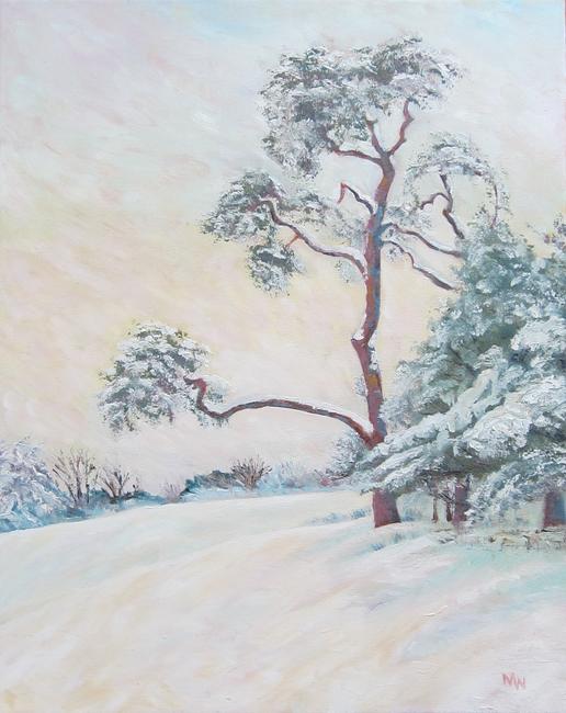 Scots Pine in the Snow (Folly Hill)