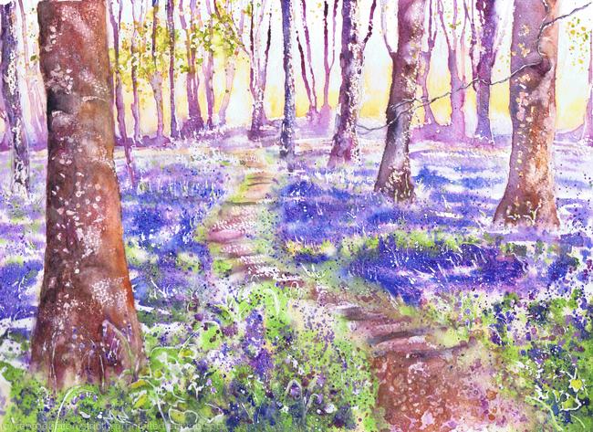 Bluebells at Badbury