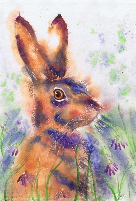 Spring Hare