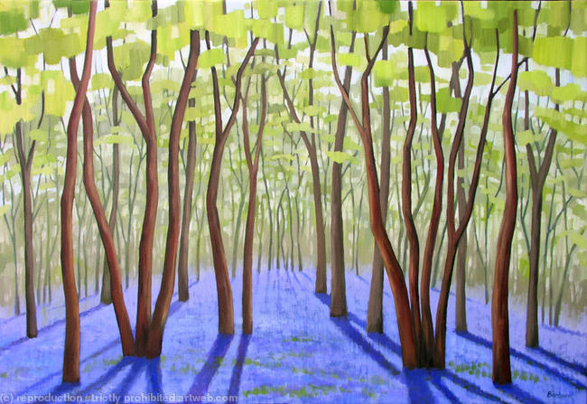 Bluebell Woods