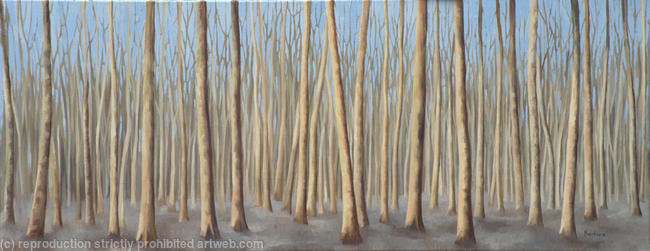 Winter Trees