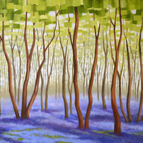 Bluebell Woods II