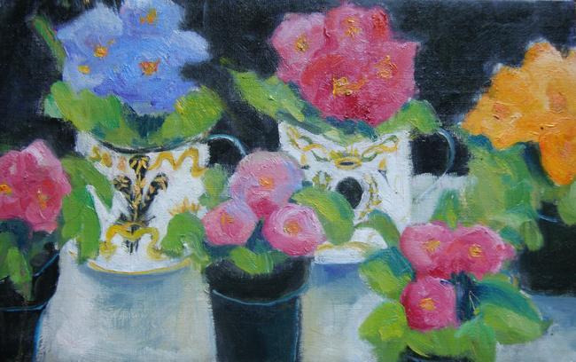 Primulas, black