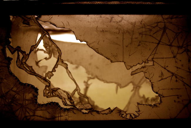 Fragile Landscape