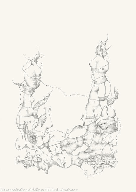 BODIES IN BARBED WIRE