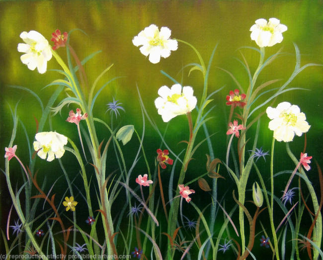 Garden Delight