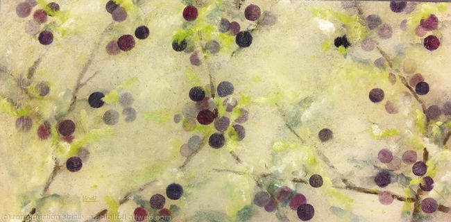 Little Black berries