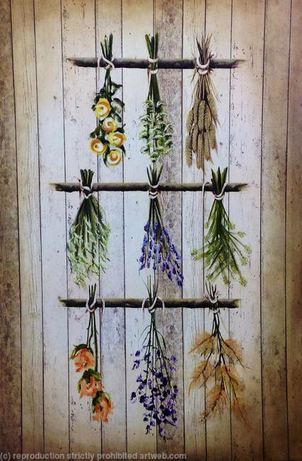 HANGING FLOWERS AND HERBS