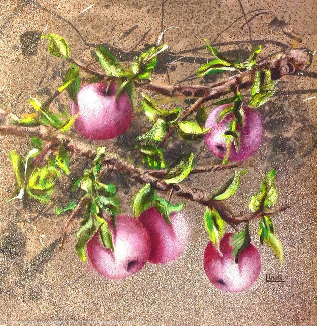 ROSY APPLES