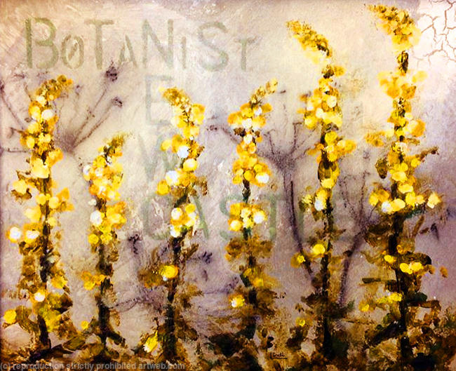 TALL YELLOW FLOWERS