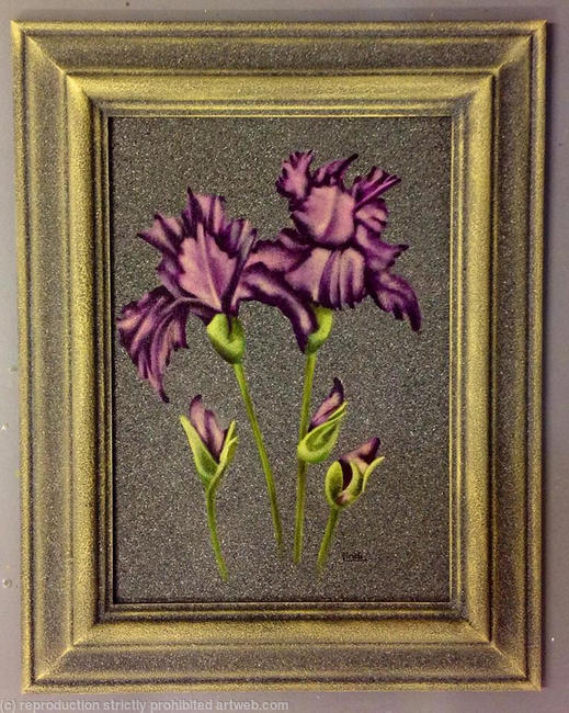 IRIS