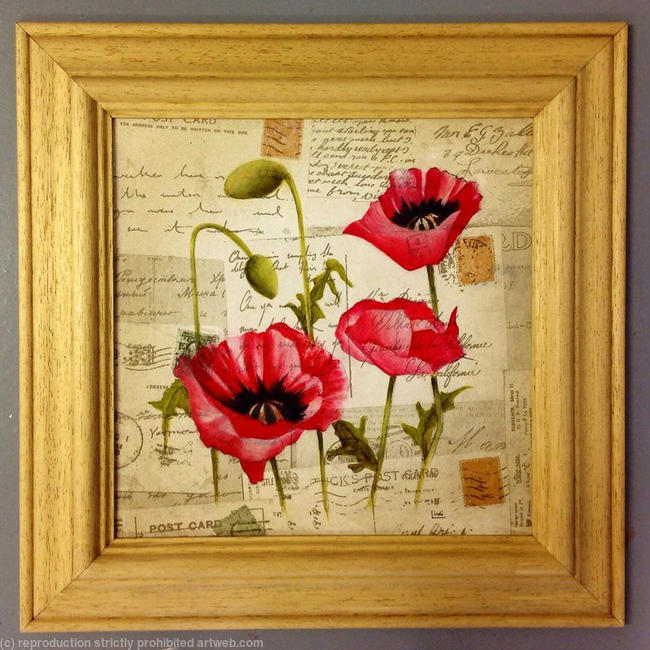 POPPIES AND LETTERS HOME
