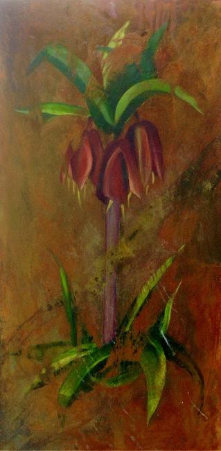 Fritillaria Imperialis
