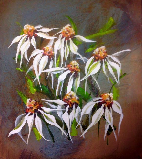 White Daisies