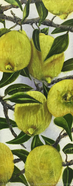 LEMONS