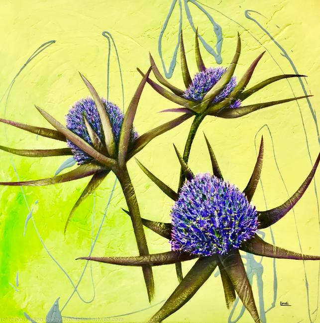 PRICKLY THISTLES