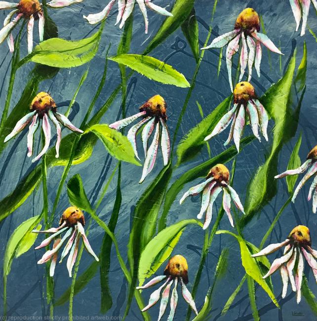 DAISIES IN THE WIND