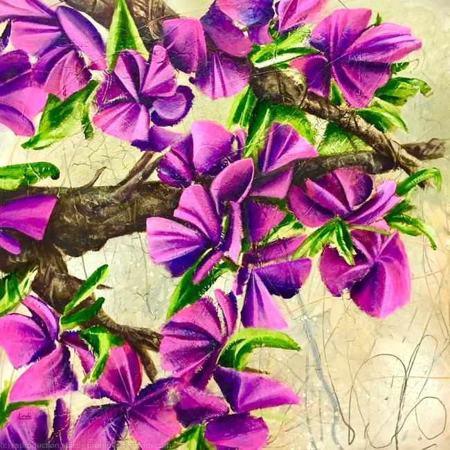MAGENTA MAGIC