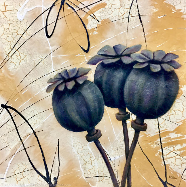 THREE POPPY HEADS