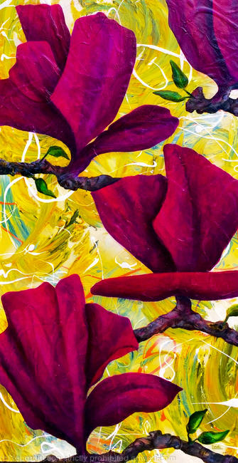 MAGENTA MAGNOLIA