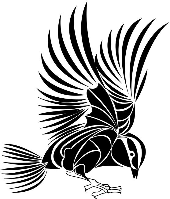 Bird Black and White