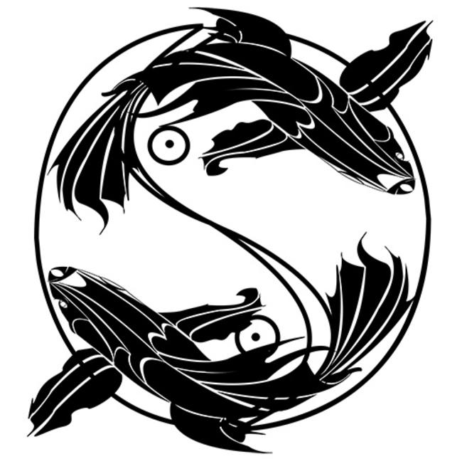 YY fish