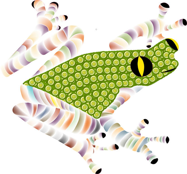 Green frog