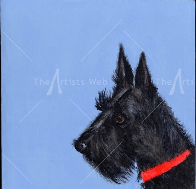 Scottie