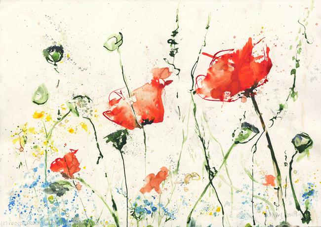 Forget Me Not