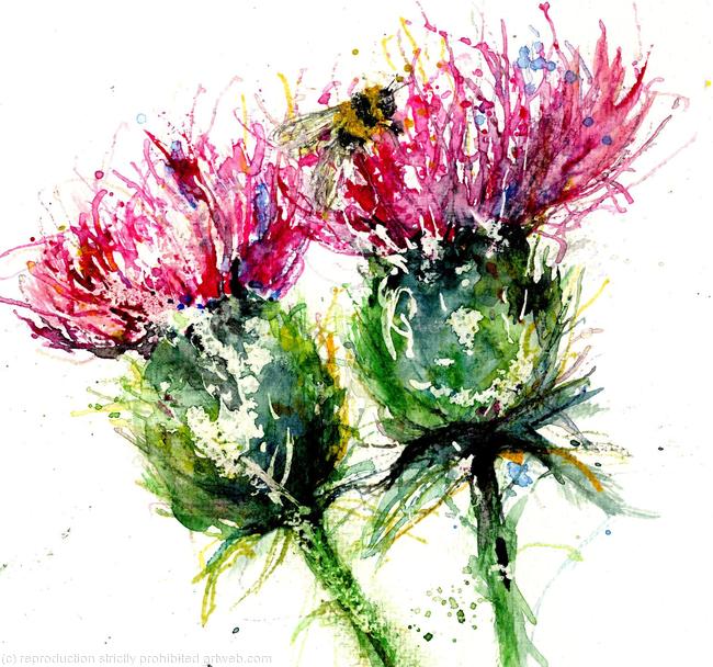 Twa' Thistles
