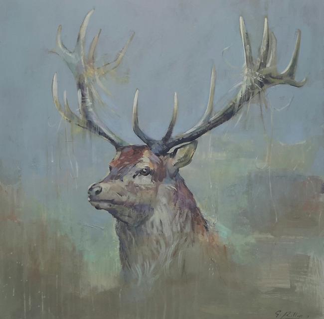 stag