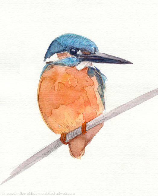 Kingfisher