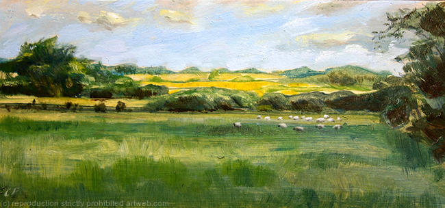 Otmoor in summer