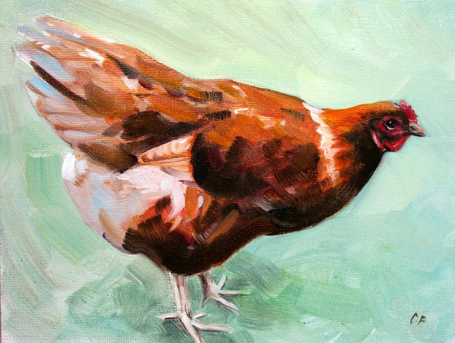 Moira our brown chicken