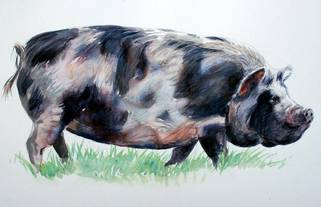 kuhn-kuhn