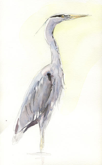Heron Study 2