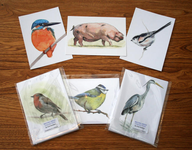 Postcards in packs of 10