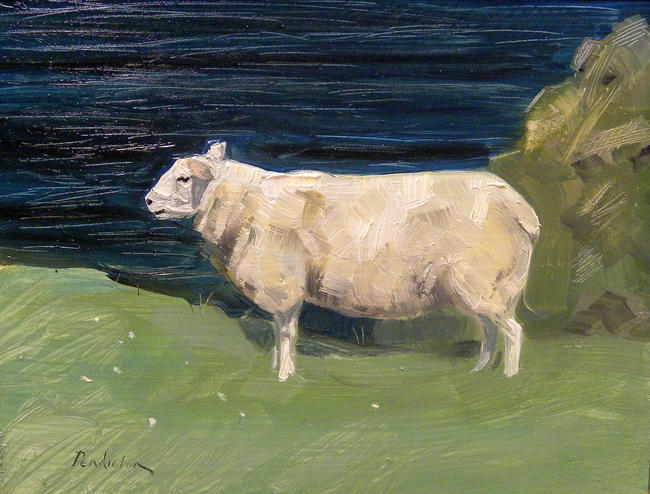 Clifftop sheep