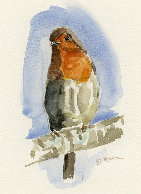 Robin