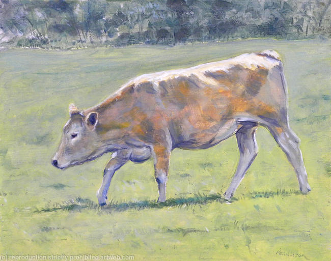 Springtime Heifer