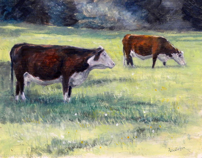 Herefords at Wallingford
