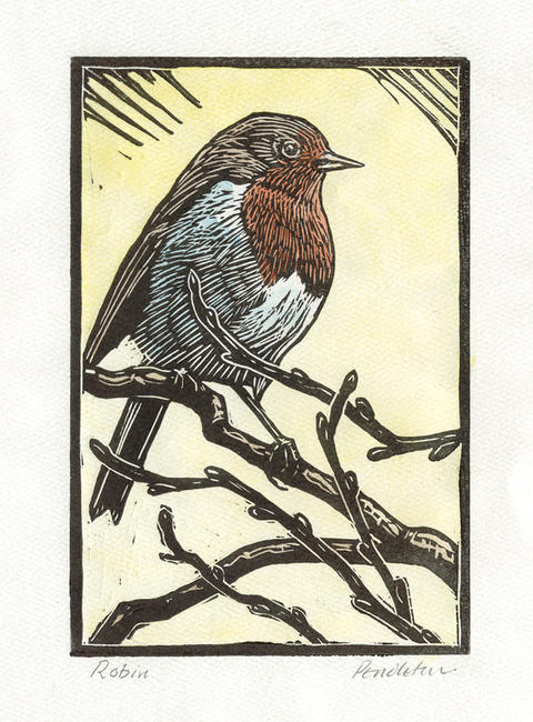Robin